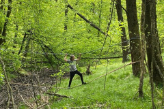 Chlapec na visutém mostu z lan.