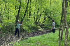 Chlapec na visutém mostu z lan.