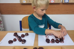 Chlapec pracuje skaštánky.