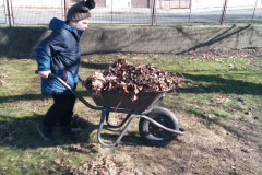 Chlapec odváží listí na kolečkách.
