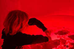 Den-pratelstvi-a-radosti-13