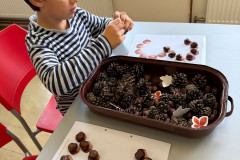 Chlapec pracuje s přírodninami.