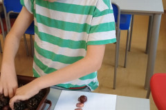 Chlapec pracuje s přírodninami.