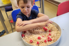 Chlapec pracuje s přírodninami.