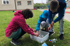 Žáci loví vršky z vody.