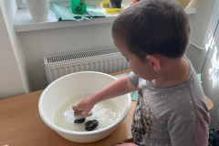 Chlapec zkoumá kameny v misce s vodou.