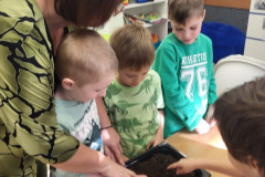 Žáci v zelené sází semínka.