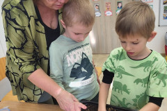 Žáci v zelené sází semínka.