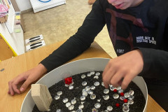 Jablíčkový den - 1