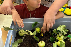 Jablíčkový den - 11