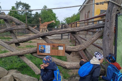 Žáci v Zoo u žiraf.