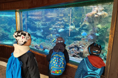 Žáci v Zoo u akvária.