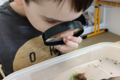 Maskoti VI. třídy - 3