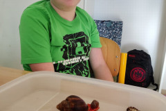 Maskoti VI. třídy - 4