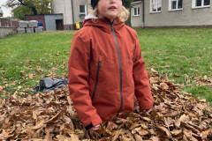 Příroda kolem nás