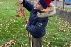 Příroda kolem nás - 4