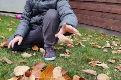 Příroda kolem nás - 15