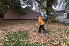 Příroda kolem nás - 21