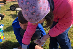 Žáci dávají semínka do květináče.