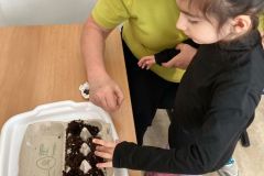 Dívka dává semínka do kartonového květináčku.