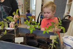 Chlapec zalévá sazeničky.