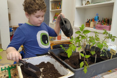 Chlapec zalévá sazeničky.