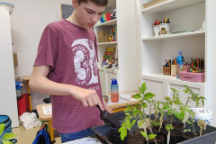 Chlapec dává hlínu k sazeničkám.