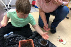 Chlapec seje semínka.