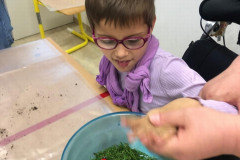 Dívka si hraje v misce s trávou.