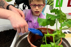 Třída přesazuje květiny.