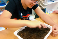 Chlapec seje semínka.