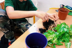 Chlapec přesazuje květinu.