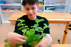 Chlapec přesazuje květinu.