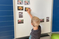 Chlapec přiřazuje obrázky na tabuli.