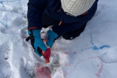 Sněhová nadílka - 1