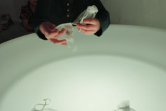 Svět chutí a vůní - 24