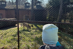 Vylet-do-ZOO-7
