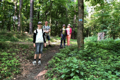 Třída na lesní cestě.