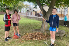 Třída při hrabání listí.