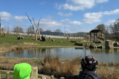 ZOO Lešná