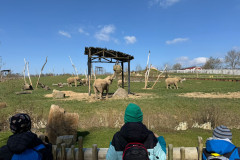 ZOO-Lesna-3