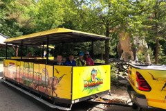 Žáci v Dino vláčku.