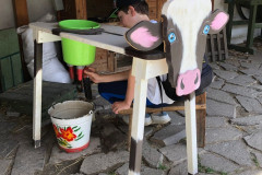 Chlapec dojí dřevěnou kozu.