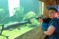 Žáci v ZOO parku u akvária.