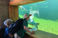 Žáci v ZOO parku u akvária.