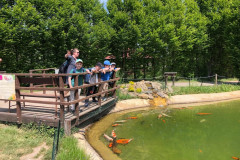 Žáci v ZOO parku u rybníčku.