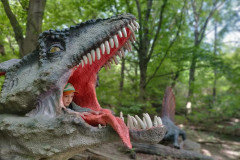 Chlapec v tlamě dinosaura.