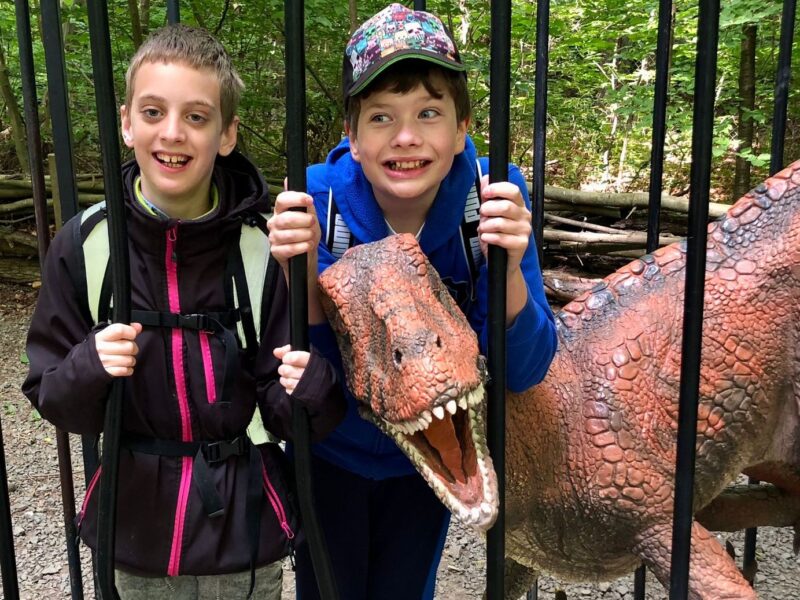 DinoPark Vyškov DinoPark Vyškov