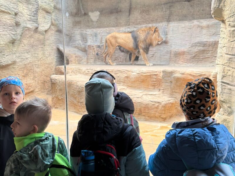 Výlet do ZOO